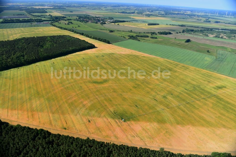 Luftbild Wutike - Pivot- Bewässerungsanlage auf landwirtschaftlichen Feldern in Wutike im Bundesland Brandenburg, Deutschland