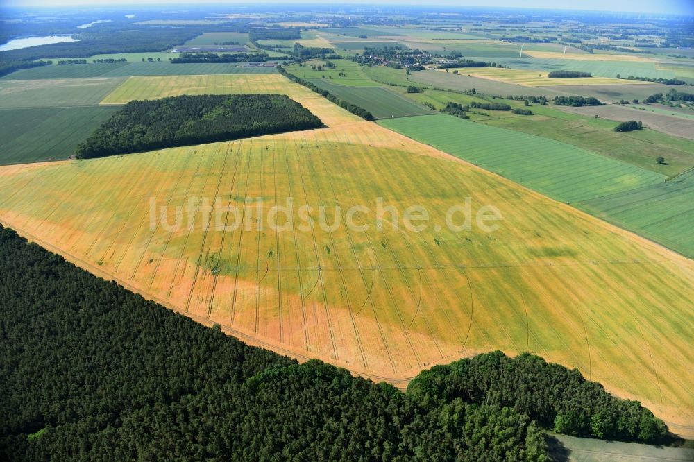 Luftaufnahme Wutike - Pivot- Bewässerungsanlage auf landwirtschaftlichen Feldern in Wutike im Bundesland Brandenburg, Deutschland