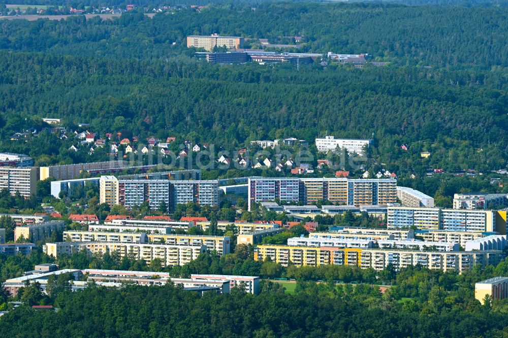 Luftaufnahme Gera - Plattenbau- Hochhaus- Wohnsiedlung an der Ahornstraße in Gera im Bundesland Thüringen, Deutschland