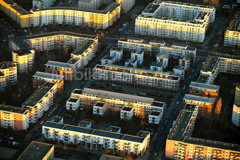 Berlin von oben - Plattenbau- Hochhaus- Wohnsiedlung Branitzer Karree in Berlin, Deutschland