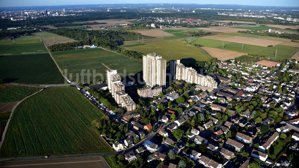 Luftaufnahme Köln - Plattenbau- Hochhaus- Wohnsiedlung Auf dem Kölnberg im Ortsteil Menschenich in Köln im Bundesland Nordrhein-Westfalen, Deutschland