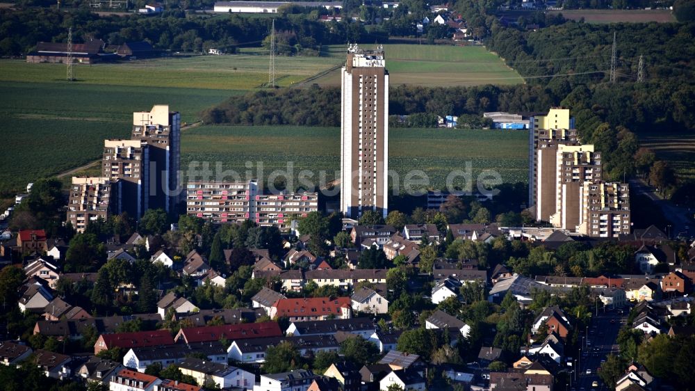 Köln von oben - Plattenbau- Hochhaus- Wohnsiedlung Auf dem Kölnberg im Ortsteil Menschenich in Köln im Bundesland Nordrhein-Westfalen, Deutschland