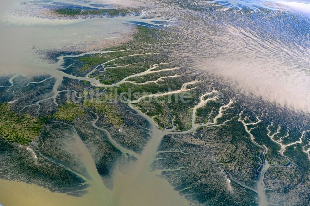 Luftbild Reußenköge - Prielenbildung in der Wattenmeerlandschaft der Nordsee in Reußenköge im Bundesland Schleswig-Holstein, Deutschland