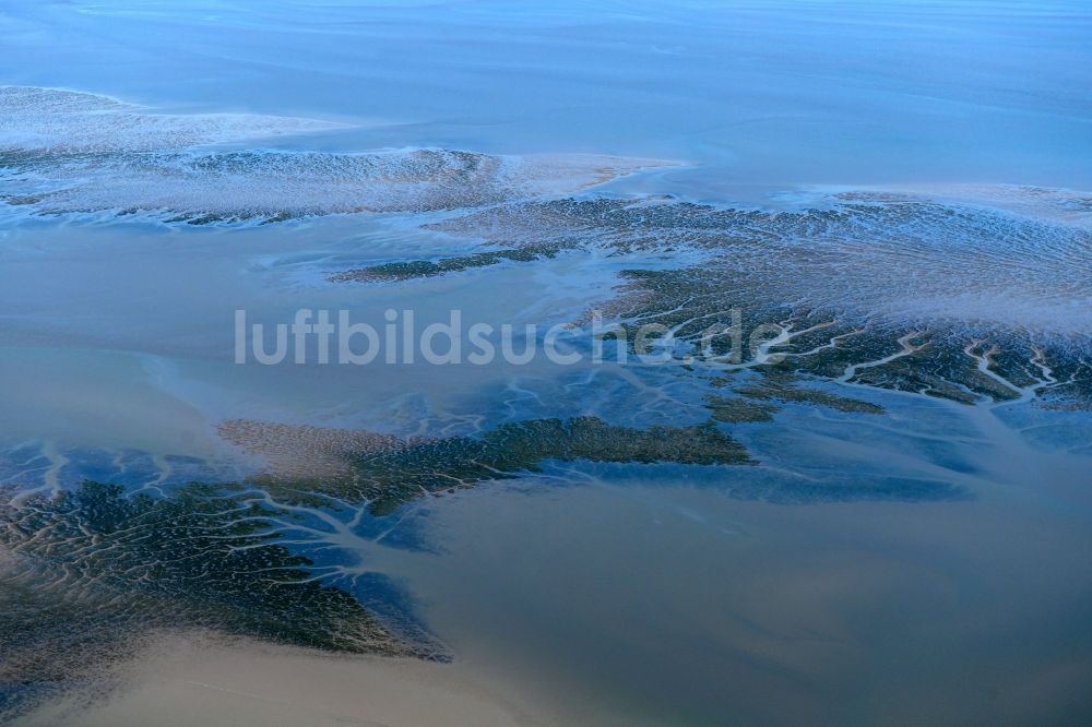Reußenköge von oben - Prielenbildung in der Wattenmeerlandschaft der Nordsee in Reußenköge im Bundesland Schleswig-Holstein, Deutschland