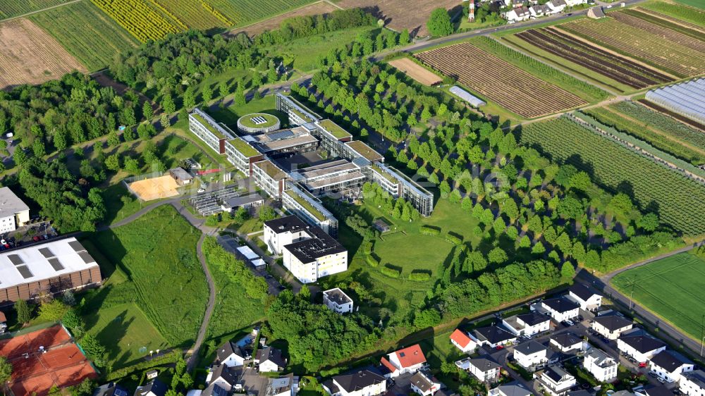 Remagen aus der Vogelperspektive: RAC Hochschule Koblenz - Standort RheinAhrCampus in Remagen im Bundesland Rheinland-Pfalz, Deutschland