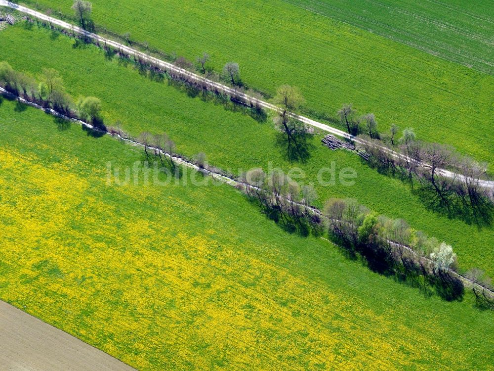 Jerichow von oben - Rapsfeld - Frühjahrs- Landschaft und Strukturen bei Jerichow im Bundesland Sachsen-Anhalt