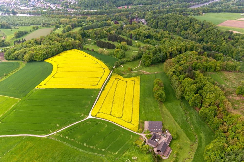 Laupendahl aus der Vogelperspektive: Rapsfelder eines Landwirtschaftsbetrieb bei Laupendahl in Nordrhein-Westfalen