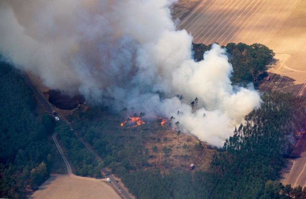 Luftbild Bad Liebenwerda - Rauchschwaden eines Brandes im Baumbestand eines Waldgebietes in Bad Liebenwerda im Bundesland Brandenburg, Deutschland