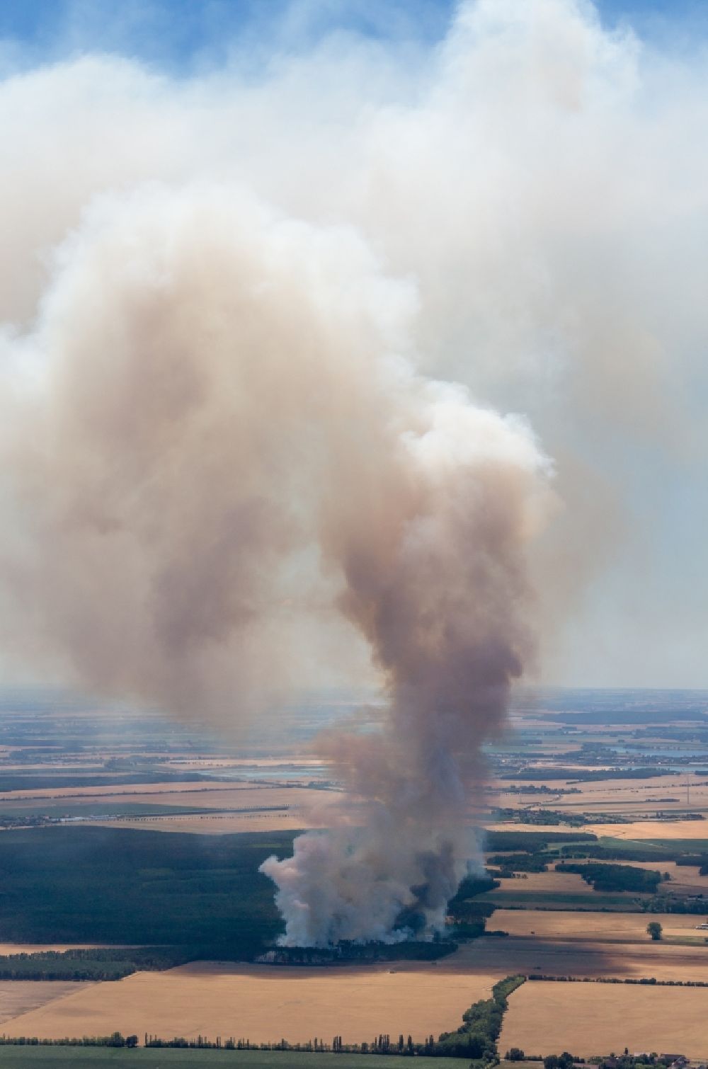 Bad Liebenwerda von oben - Rauchschwaden eines Brandes im Baumbestand eines Waldgebietes in Bad Liebenwerda im Bundesland Brandenburg, Deutschland