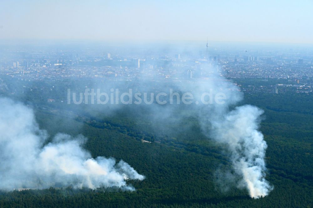 Luftaufnahme Berlin - Rauchschwaden eines Brandes im Baumbestand eines Waldgebietes in Berlin, Deutschland
