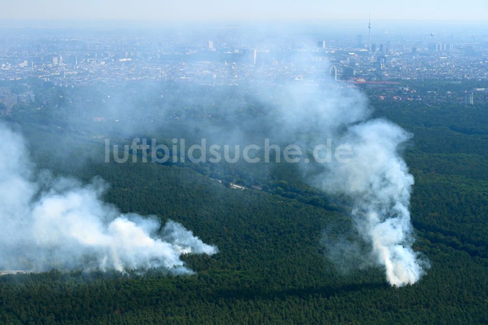 Berlin von oben - Rauchschwaden eines Brandes im Baumbestand eines Waldgebietes in Berlin, Deutschland