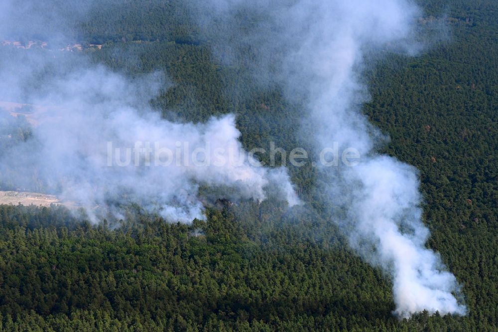 Berlin aus der Vogelperspektive: Rauchschwaden eines Brandes im Baumbestand eines Waldgebietes in Berlin, Deutschland