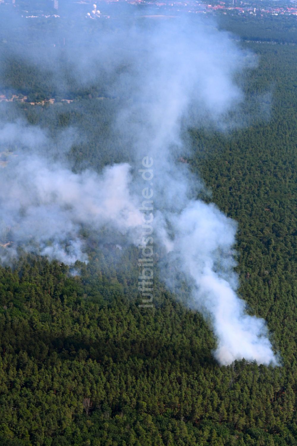 Luftbild Berlin - Rauchschwaden eines Brandes im Baumbestand eines Waldgebietes in Berlin, Deutschland