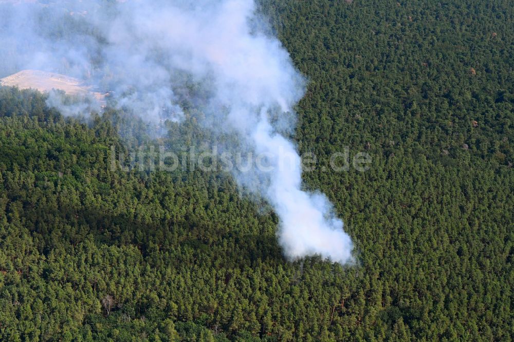 Luftaufnahme Berlin - Rauchschwaden eines Brandes im Baumbestand eines Waldgebietes in Berlin, Deutschland
