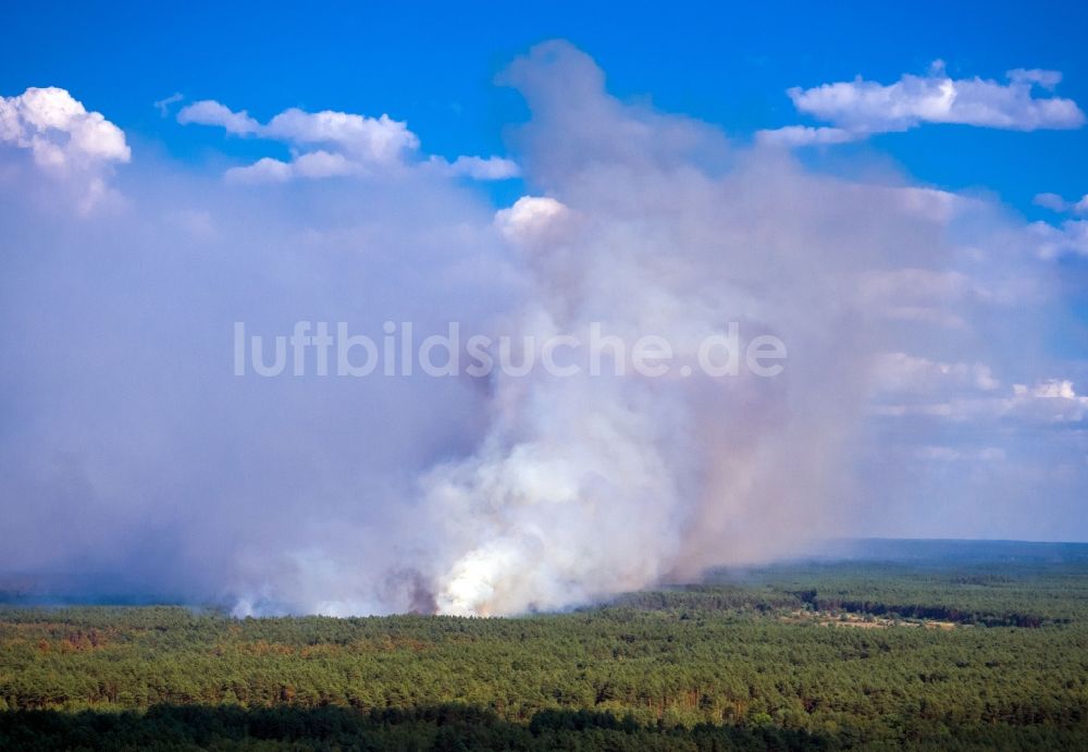 Luftaufnahme Lübtheen - Rauchschwaden eines Brandes im Baumbestand eines Waldgebietes im Ortsteil Brömsenberg in Lübtheen im Bundesland Mecklenburg-Vorpommern, Deutschland