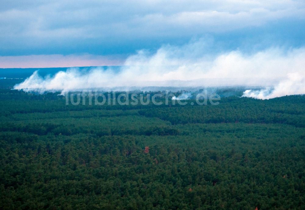 Lübtheen von oben - Rauchschwaden eines Brandes im Baumbestand eines Waldgebietes im Ortsteil Brömsenberg in Lübtheen im Bundesland Mecklenburg-Vorpommern, Deutschland