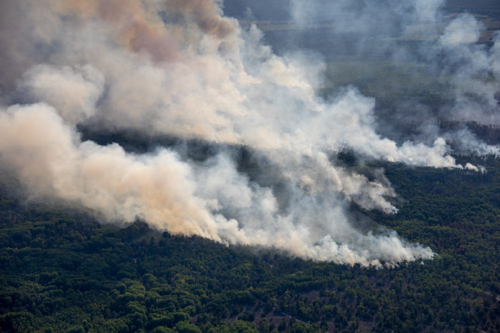 Luftbild Jüterbog - Rauchschwaden eines Brandes im Baumbestand eines Waldgebietes im Ortsteil Werder in Jüterbog im Bundesland Brandenburg, Deutschland
