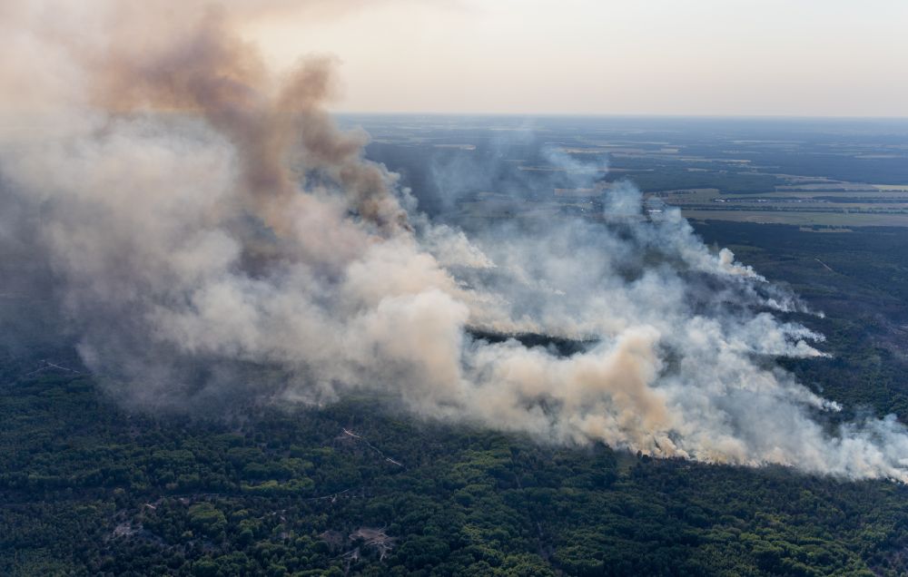 Luftaufnahme Jüterbog - Rauchschwaden eines Brandes im Baumbestand eines Waldgebietes im Ortsteil Werder in Jüterbog im Bundesland Brandenburg, Deutschland