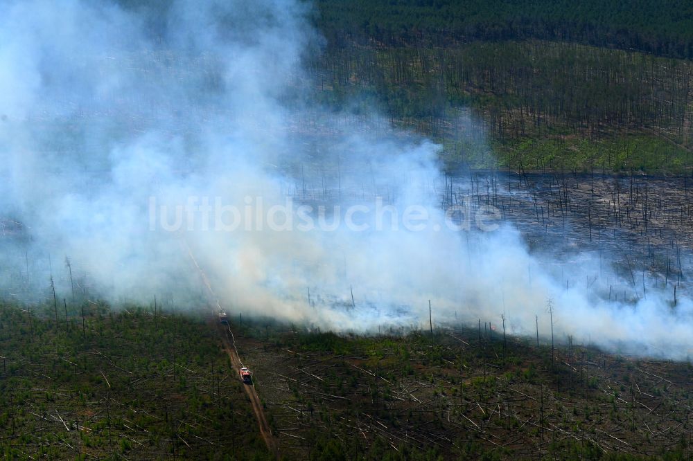Luftbild Treuenbrietzen - Rauchschwaden eines Brandes im Baumbestand eines Waldgebietes in Treuenbrietzen im Bundesland Brandenburg, Deutschland