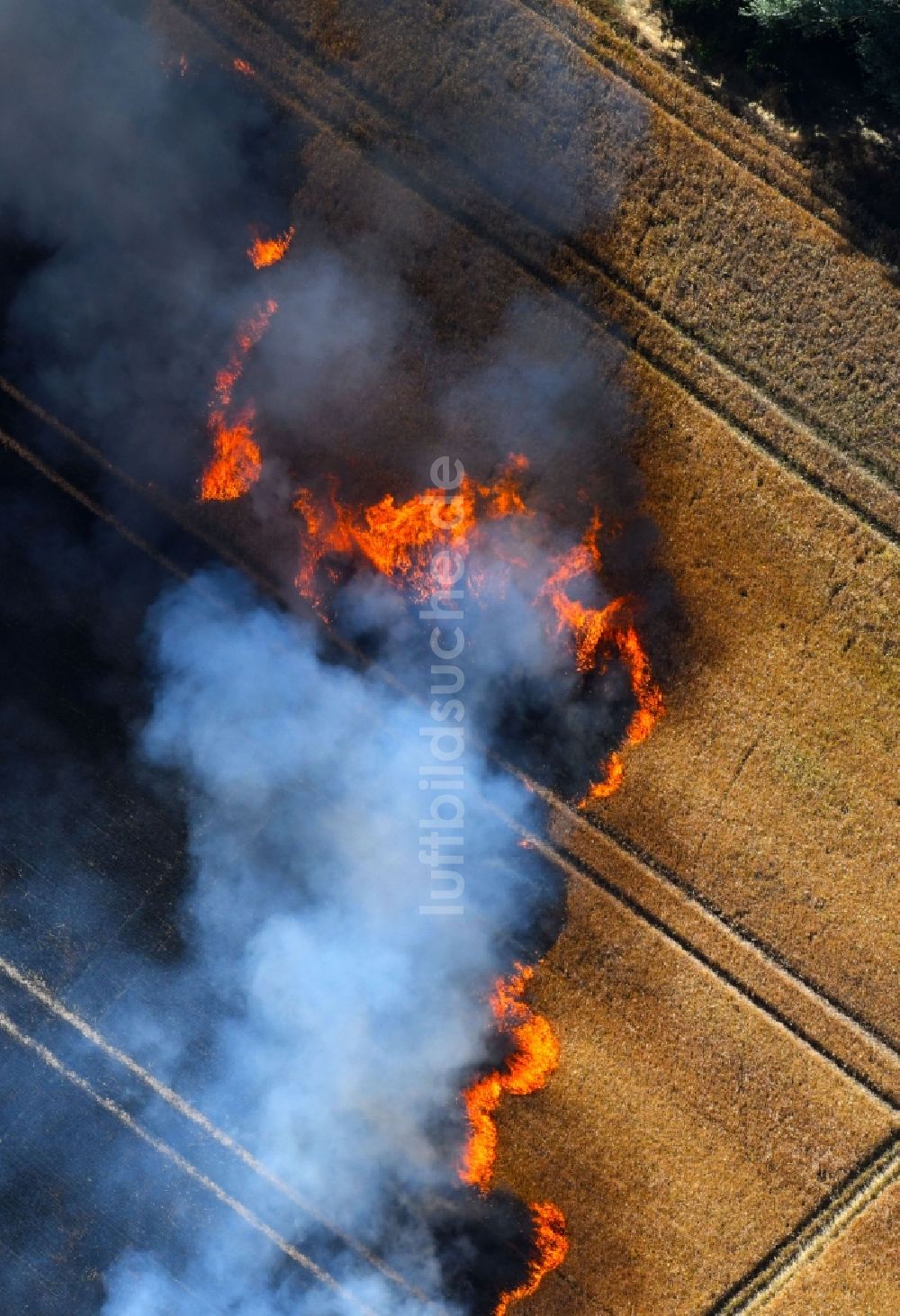 Luftaufnahme Angersdorf - Rauchschwaden eines Brandes in einem Getreidefeld in Angersdorf im Bundesland Sachsen-Anhalt, Deutschland