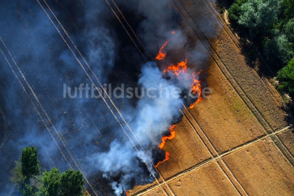 Angersdorf von oben - Rauchschwaden eines Brandes in einem Getreidefeld in Angersdorf im Bundesland Sachsen-Anhalt, Deutschland