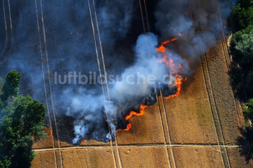 Angersdorf aus der Vogelperspektive: Rauchschwaden eines Brandes in einem Getreidefeld in Angersdorf im Bundesland Sachsen-Anhalt, Deutschland