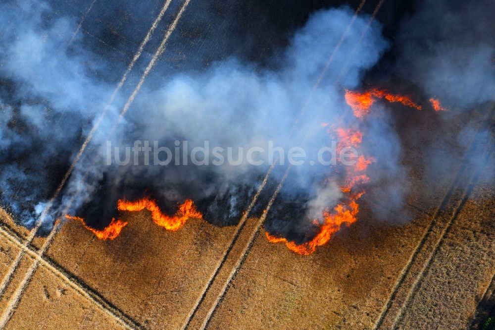 Luftbild Angersdorf - Rauchschwaden eines Brandes in einem Getreidefeld in Angersdorf im Bundesland Sachsen-Anhalt, Deutschland