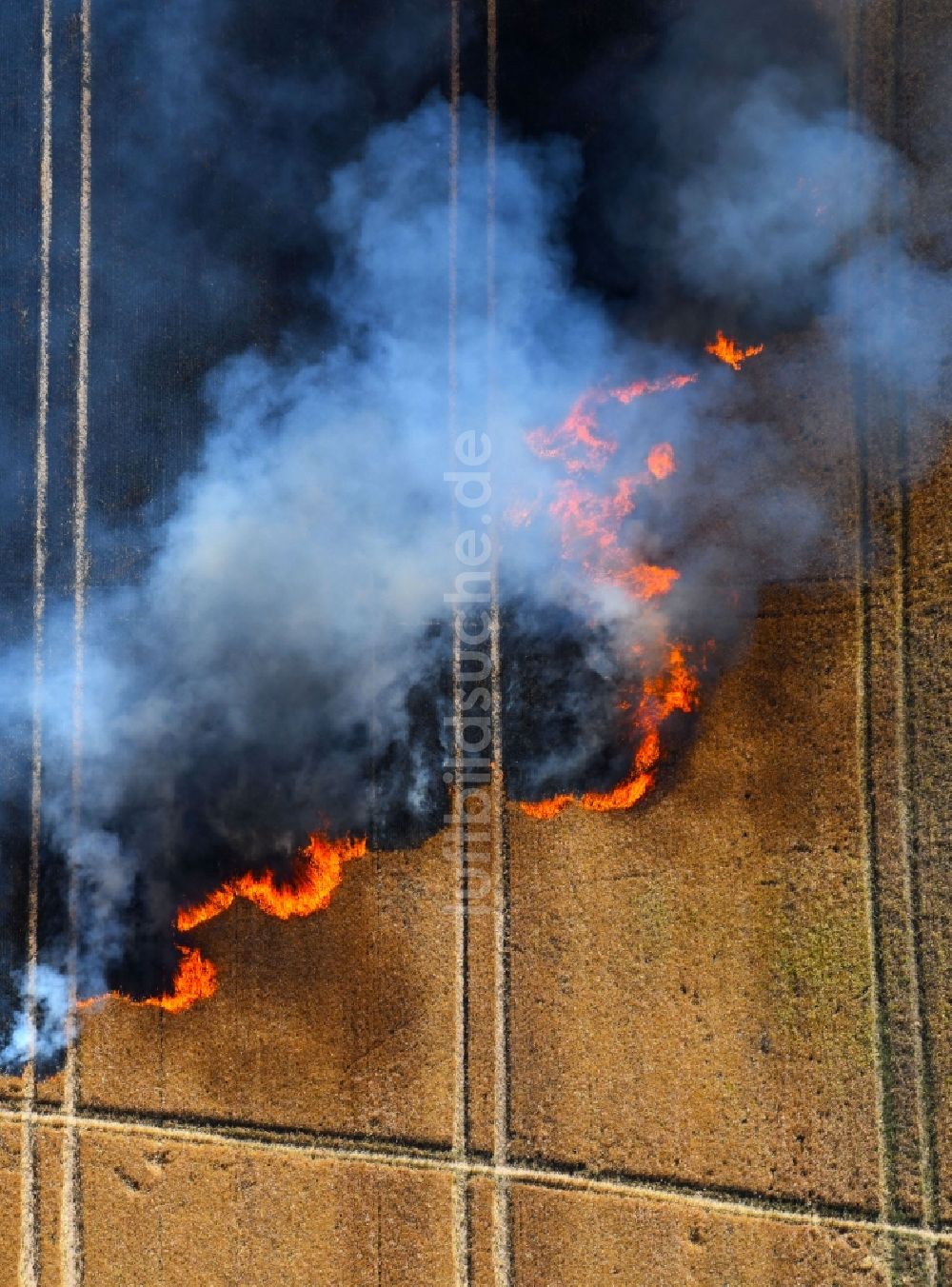 Angersdorf von oben - Rauchschwaden eines Brandes in einem Getreidefeld in Angersdorf im Bundesland Sachsen-Anhalt, Deutschland