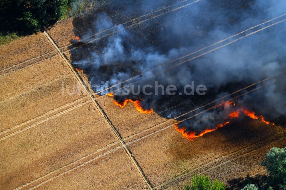 Angersdorf aus der Vogelperspektive: Rauchschwaden eines Brandes in einem Getreidefeld in Angersdorf im Bundesland Sachsen-Anhalt, Deutschland