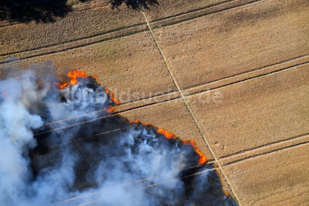 Luftbild Angersdorf - Rauchschwaden eines Brandes in einem Getreidefeld in Angersdorf im Bundesland Sachsen-Anhalt, Deutschland
