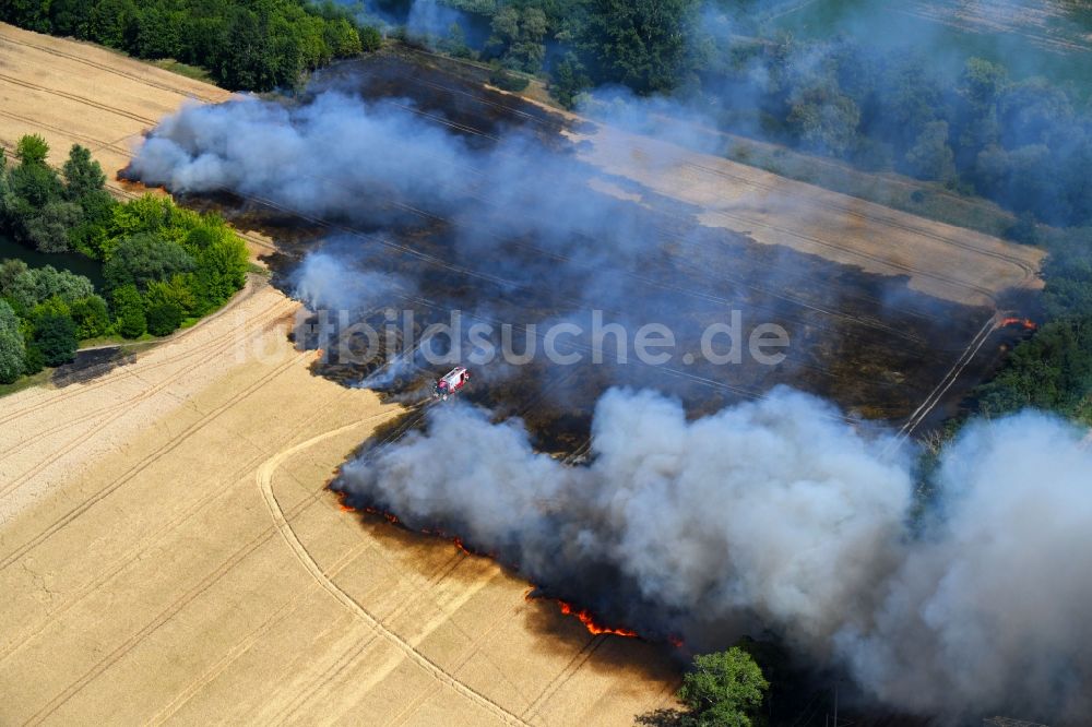 Luftaufnahme Angersdorf - Rauchschwaden eines Brandes in einem Getreidefeld in Angersdorf im Bundesland Sachsen-Anhalt, Deutschland