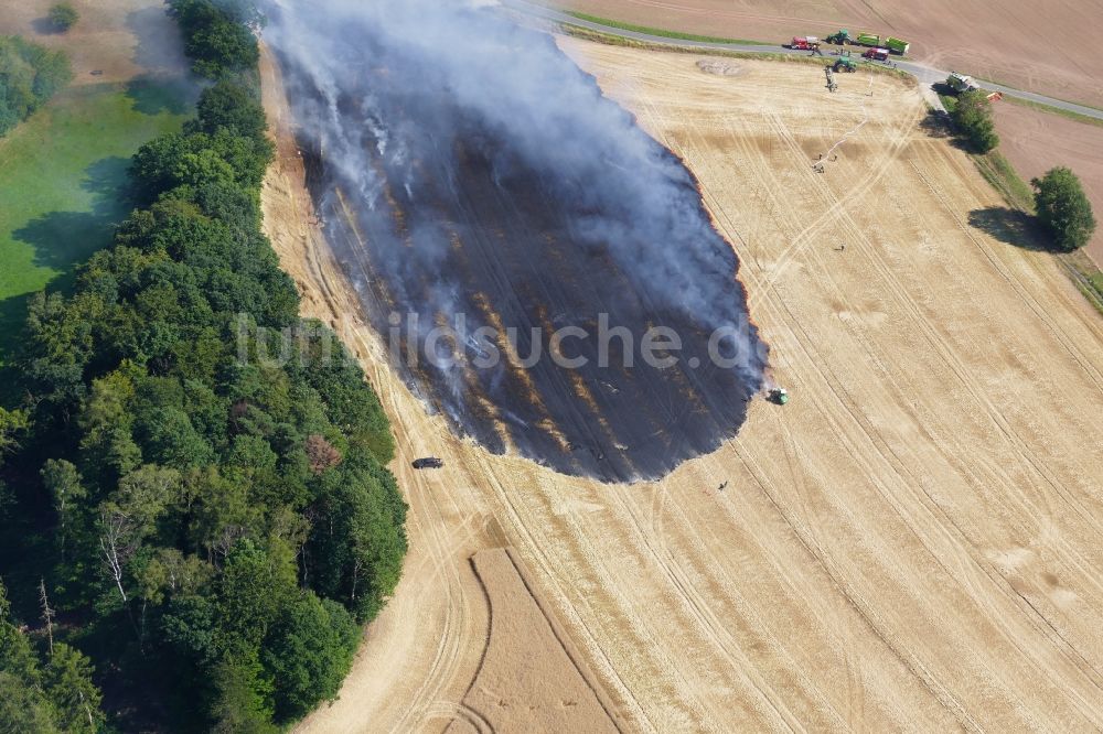Luftbild Dieterode - Rauchschwaden eines Brandes in einem Getreidefeld in Dieterode im Bundesland Thüringen, Deutschland