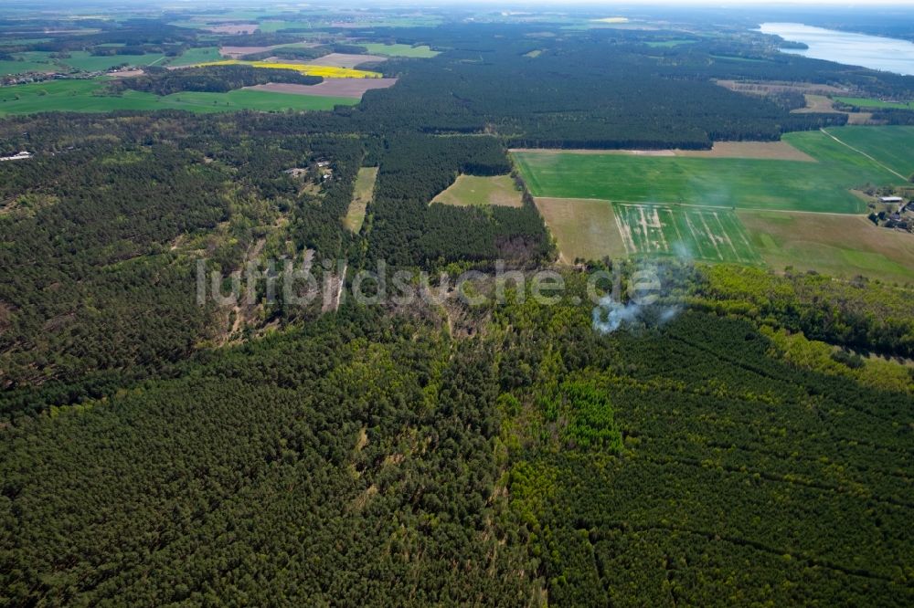 Luftbild Bad Saarow - Rauchschwaden eines Brandes in einem Wald bei Bad Saarow im Bundesland Brandenburg, Deutschland
