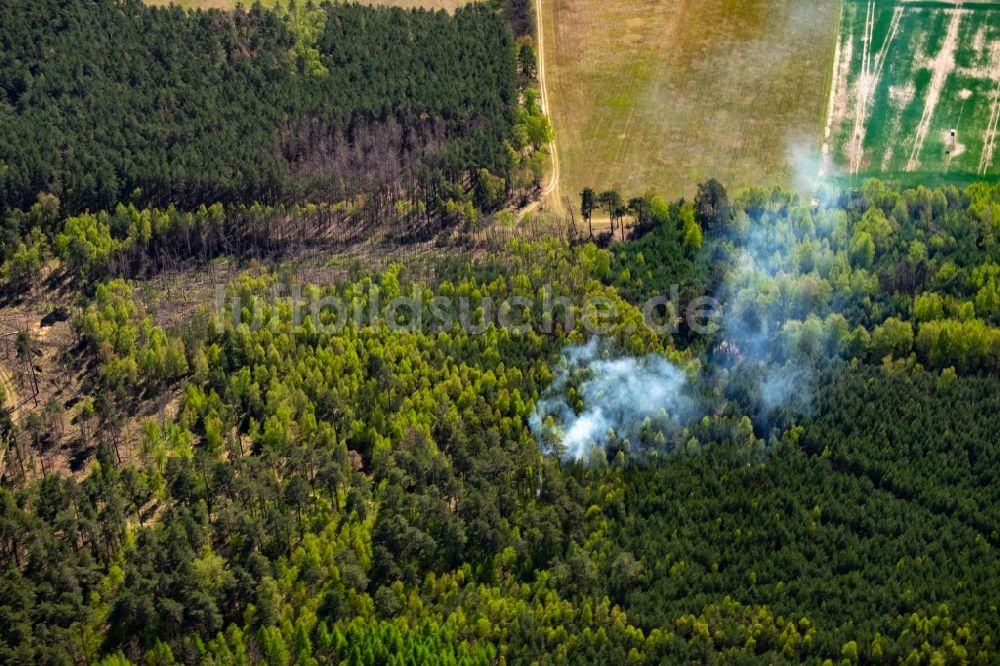 Bad Saarow von oben - Rauchschwaden eines Brandes in einem Wald bei Bad Saarow im Bundesland Brandenburg, Deutschland
