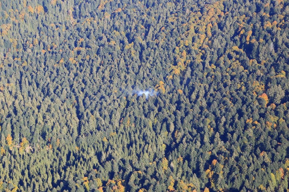 Luftaufnahme Todtmoos - Rauchschwaden einer Feuerstelle im Baumbestand eines Waldgebietes im Südschwarzwald bei Todtmoos im Bundesland Baden-Württemberg, Deutschland