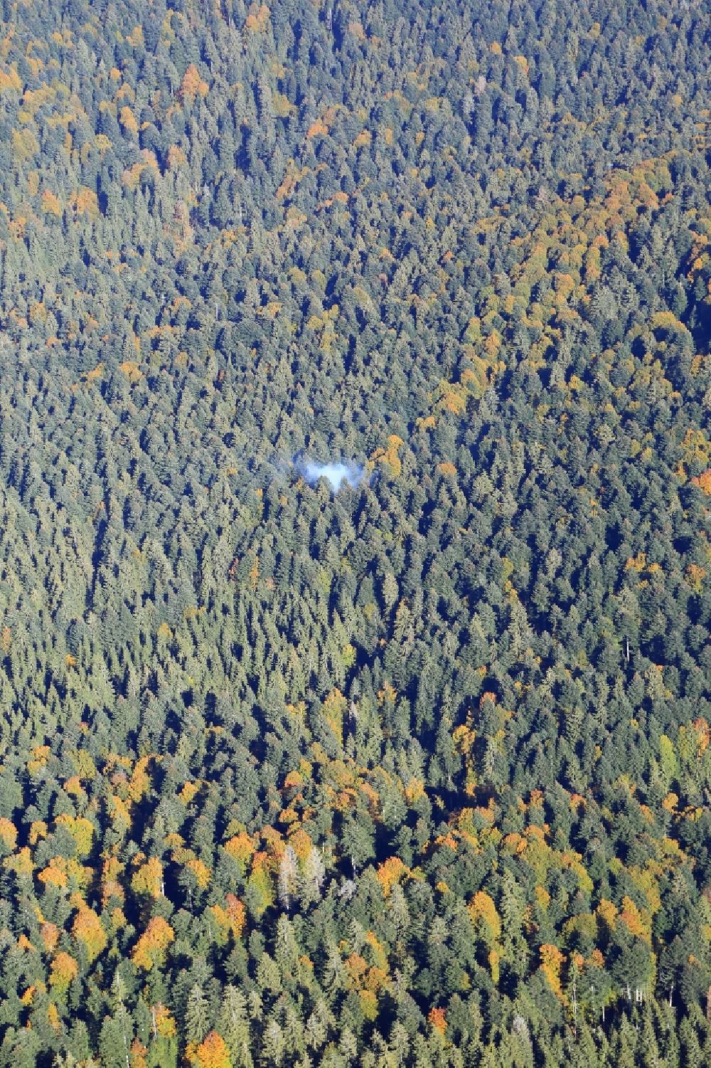 Todtmoos von oben - Rauchschwaden einer Feuerstelle im Baumbestand eines Waldgebietes im Südschwarzwald bei Todtmoos im Bundesland Baden-Württemberg, Deutschland