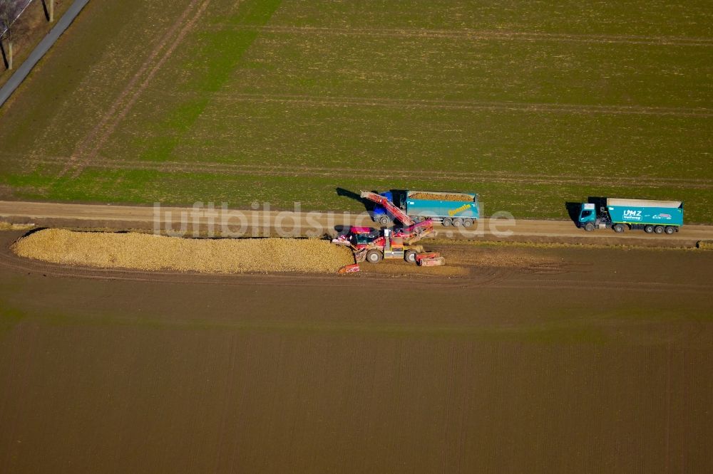 Luftaufnahme Friedland - Rübenverladung auf einem landwirtschaftlichen Acker in Friedland im Bundesland Niedersachsen, Deutschland