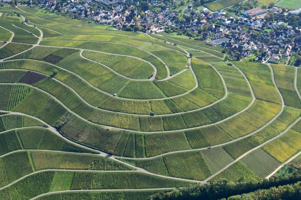 Luftaufnahme Ebringen - Reben für den Weinanbau auf dem Rebberg Sonnenberg in Ebringen im Bundesland Baden-Württemberg, Deutschland