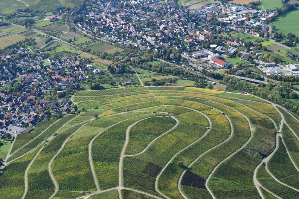 Luftbild Schallstadt - Reben für den Weinanbau auf dem Rebberg Sonnenberg in Ebringen im Bundesland Baden-Württemberg, Deutschland. Blick nach Schallstadt