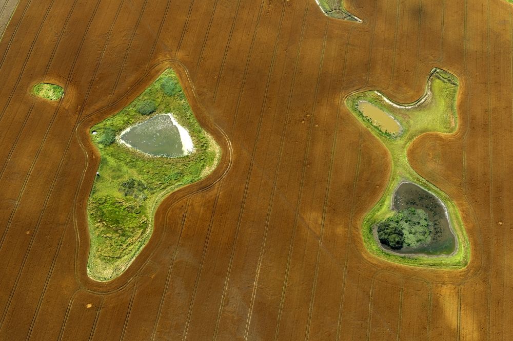 Damshagen aus der Vogelperspektive: Reife Getreide- Feld- Strukturen bei Damshagen in Mecklenburg-Vorpommern
