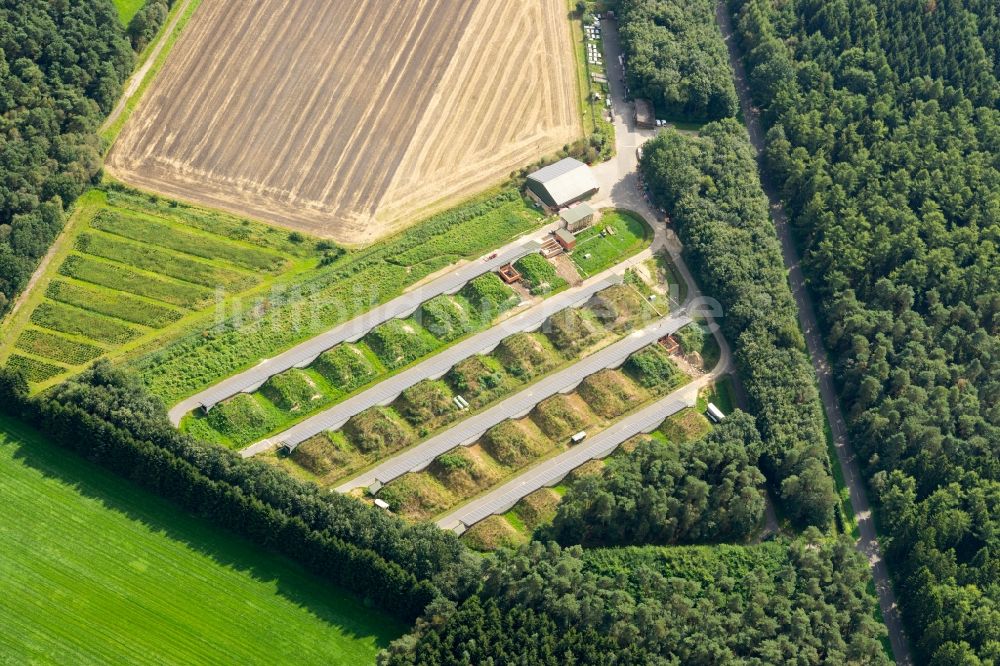Luftaufnahme Deinste - Reihen eines Solarpark bzw. Solarkraftwerk in Deinste im Bundesland Niedersachsen, Deutschland