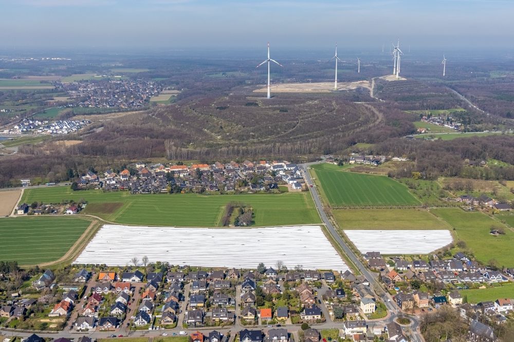 Luftaufnahme Oberlohberg - Reihen mit Spargel- Anbau auf Feld- Flächen in Oberlohberg im Bundesland Nordrhein-Westfalen, Deutschland