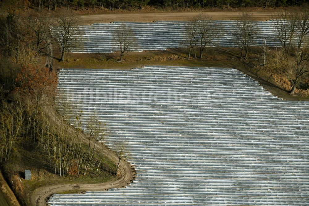 Amalienfelde von oben - Reihen mit Spargel- Anbau auf Feld- Flächen in Amalienfelde im Bundesland Brandenburg, Deutschland