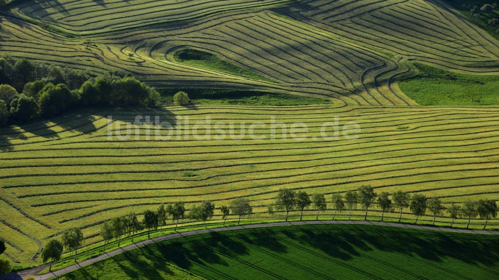 Blankenbach von oben - Reihen mit Spargel- Anbau auf Feld- Flächen in Blankenbach im Bundesland Nordrhein-Westfalen, Deutschland