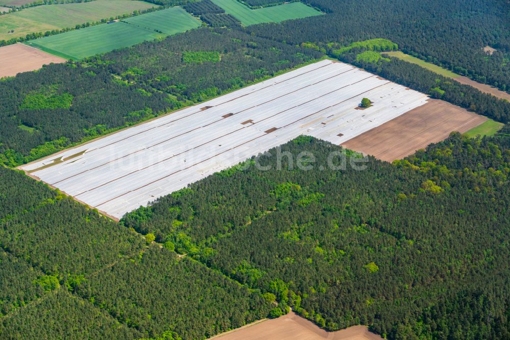 Bröthen aus der Vogelperspektive: Reihen mit Spargel- Anbau auf Feld- Flächen in Bröthen im Bundesland Schleswig-Holstein, Deutschland