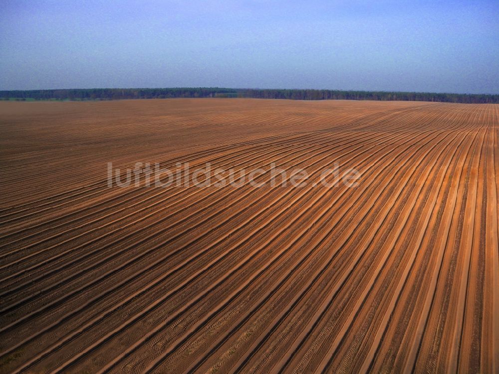 Flatow von oben - Reihen mit Spargel- Anbau auf Feld- Flächen in Flatow im Bundesland Brandenburg
