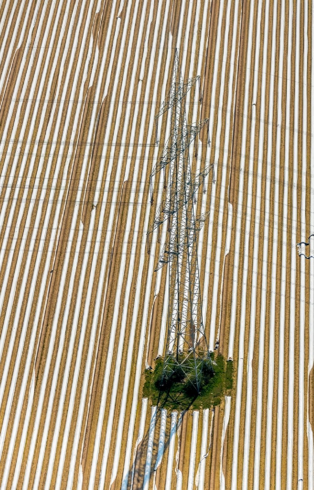 Luftbild Friedrichsfeld - Reihen mit Spargel- Anbau auf Feld- Flächen in Friedrichsfeld im Bundesland Nordrhein-Westfalen, Deutschland
