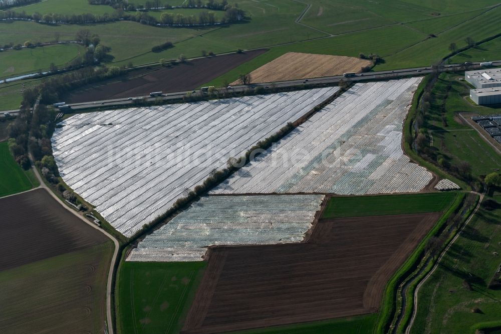 Luftbild Herbolzheim - Reihen mit Spargel- Anbau auf Feld- Flächen in Herbolzheim im Bundesland Baden-Württemberg, Deutschland