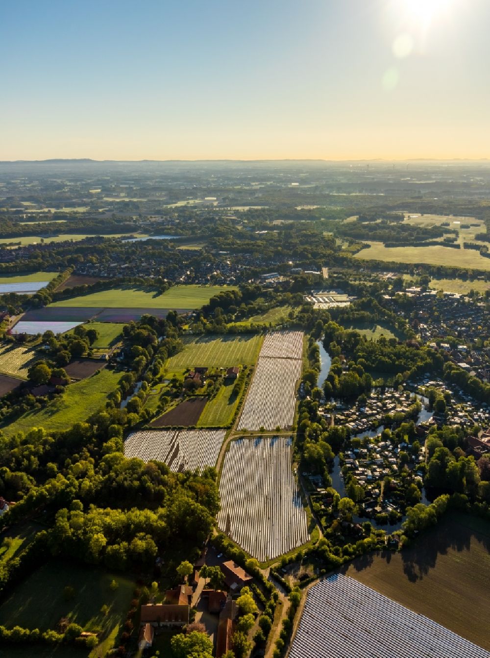 Luftbild Münster - Reihen mit Spargel- Anbau auf Feld- Flächen in Münster im Bundesland Nordrhein-Westfalen, Deutschland