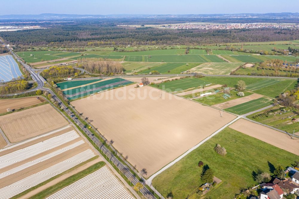 Luftbild Neudorf - Reihen mit Spargel- Anbau auf Feld- Flächen in Neudorf im Bundesland Baden-Württemberg, Deutschland